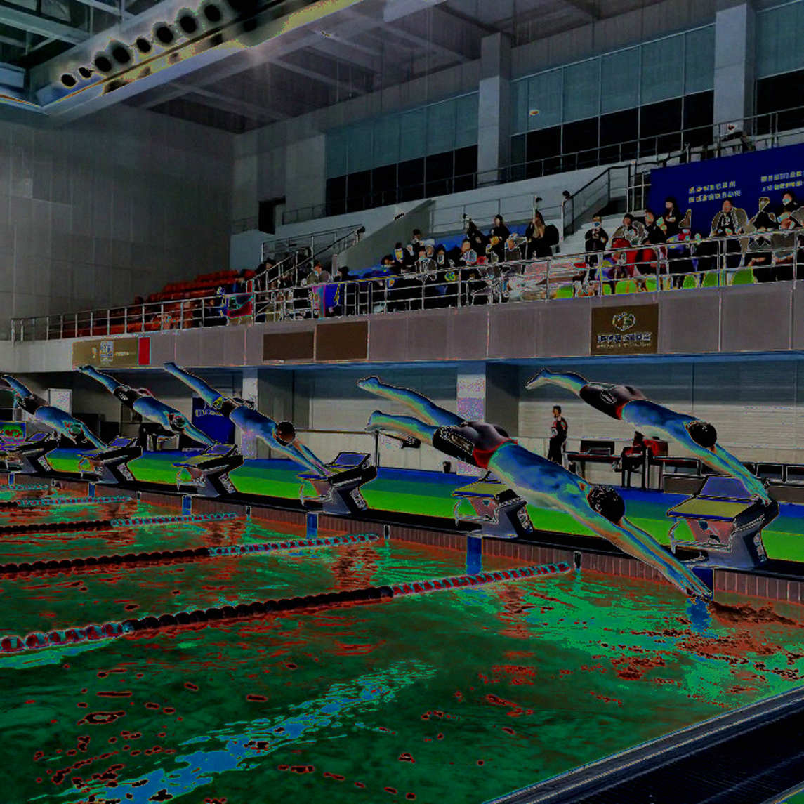 Defne Kurt and Five Gold Medals in Gebze: What the Water Says That the Scoreboard Cannot Defne Kurt and Five Gold Medals in Gebze: What the Water Says That the Scoreboard Cannot
