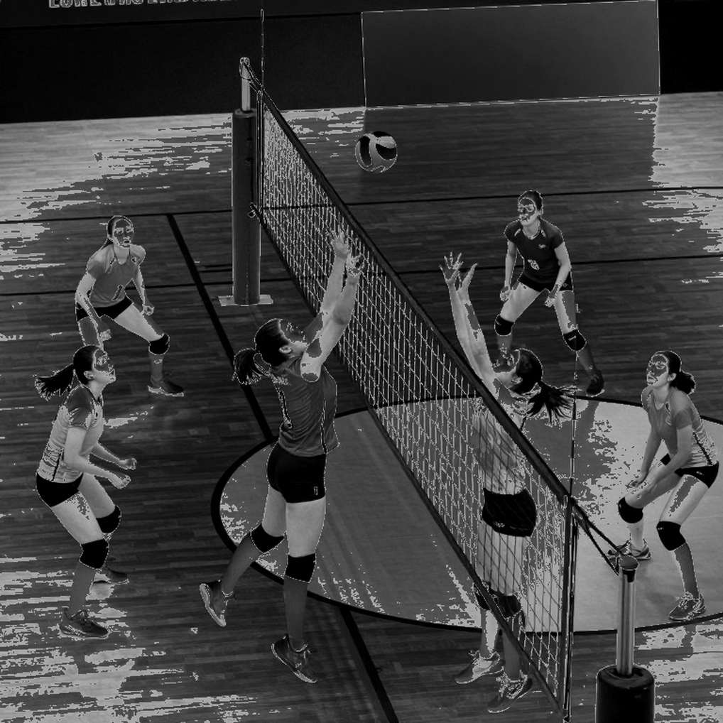 Ai Cập giành vé Olympic 2028 bằng chiến thắng 3-0 trước Kenya Ai Cập giành vé Olympic 2028 bằng chiến thắng 3-0 trước Kenya